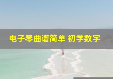 电子琴曲谱简单 初学数字